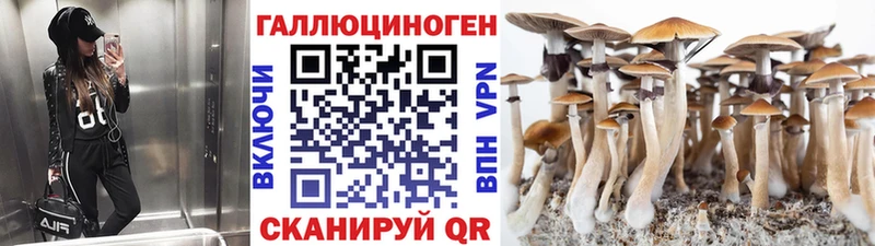как найти закладки Миньяр Псилоцибиновые грибы GOLDEN TEACHER